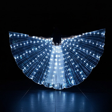 Alas Led Capa Luminosa 145 cm - 3